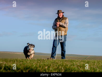 Darren Greenfield - Schäfer auf der South Downs mit Belle seine Bearded Collie Schäferhund und Neugeborene Lämmer. Stockfoto