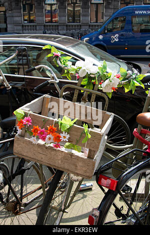 Bunten Blumen in Kästen auf Fahrräder im Zentrum von Amsterdam. Stockfoto