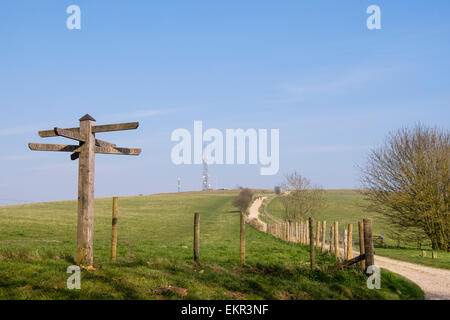 Fußweg Richtung Zeichen und Weg zu Trundle Hill auf der Monarch in South Downs National Park. St Roche's Hill West Sussex England Großbritannien Stockfoto