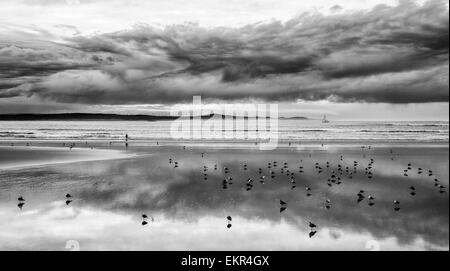 Strand von Essaouira, Marrakech-Tensift-Al Haouz, Marokko Stockfoto