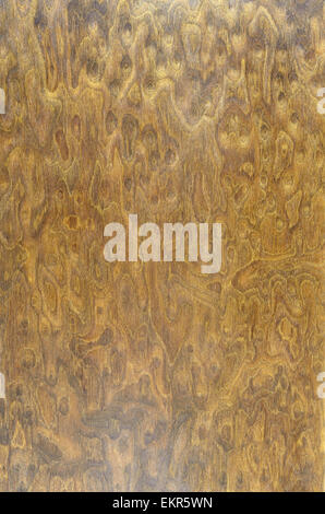 Braun Buche Holz Textur als Hintergrund Stockfoto
