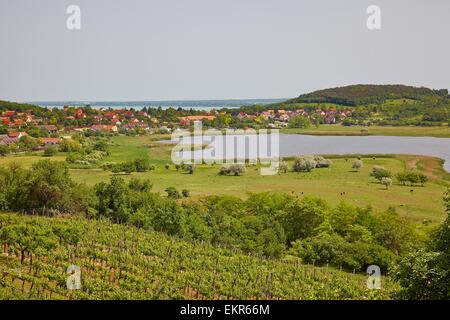 Landschaft Stockfoto