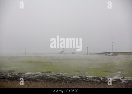 Seenebel umfasst den Oberlauf des Chichester Hafen an einem Frühlingsmorgen Stockfoto