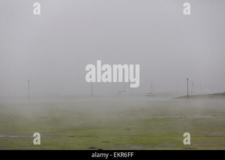 Seenebel umfasst den Oberlauf des Chichester Hafen an einem Frühlingsmorgen Stockfoto