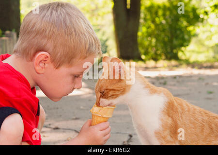 Kind Fütterung Katze seine Eistüte Stockfoto