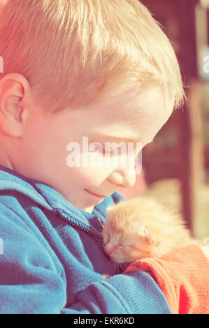 junge warm Kätzchen Liebe Stockfoto