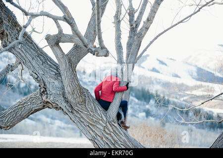 Ein Mädchen in einer roten Jacke sitzt in einem Baum mit Blick auf die Landschaft. Stockfoto