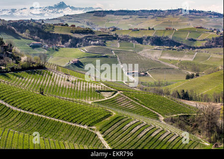 Der Barolo Wein-Region im Norden Italiens, in der Nähe von Serralunga d ' Alba. Der Blick ist Richtung Norden nach den italienischen Alpen Stockfoto