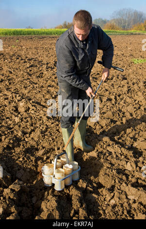 Forscher Bodentest durchführen, indem man manuelle Erde Kernproben aus Feld mit Metall corer Stockfoto