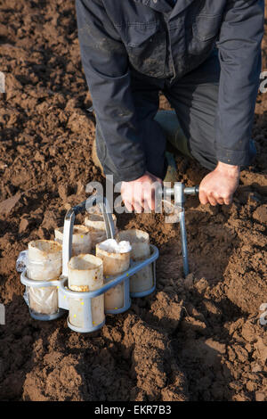 Forscher Bodentest durchführen, indem man manuelle Erde Kernproben aus Feld mit Metall corer Stockfoto