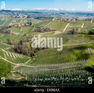 Der Barolo Wein-Region im Norden Italiens, in der Nähe von Serralunga d ' Alba. Die Aussicht ist in den italienischen Alpen Richtung Norden. Stockfoto