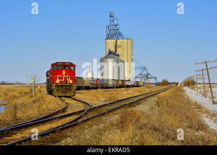 Ein Canadian National Güterzug laden Korn Autos Stockfoto