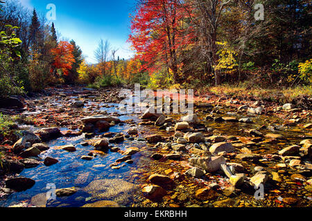 Niedrigen Winkel Blick auf einem felsigen Flussbett mit Herbstlaub, Franconia, New Hampshire, USA Stockfoto