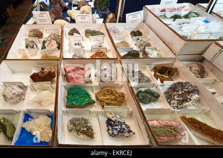 Gesteine und Mineralien zum Verkauf, Tucson Gem and Mineral Show, Tucson, Arizona Stockfoto