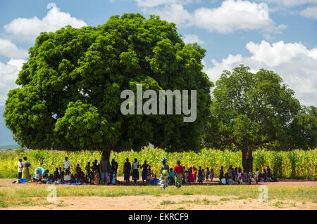 Mitte Januar 2015 ein Zeitraum von drei Tagen der übermäßige regen die kleinen armen afrikanischen Land Malawi Unprecedneted Überschwemmungen gebracht. Fast ein Viertel von 1 Million Menschen vertrieben, 64.000 Hektar Land verwüstet und mehrere hundert Menschen getötet. Diese Aufnahme zeigt einen beschädigten Vertriebene Zuflucht vor der Hitze der Sonne unter einem Baum im Baani Flüchtlingslager in der Nähe von Phalombe. Stockfoto