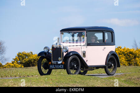 Oldtimer im Wettbewerb mit der Narzisse im New Forest Run an einem sonnigen Tag. Stockfoto