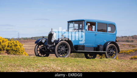 Oldtimer im Wettbewerb mit der Narzisse im New Forest Run an einem sonnigen Tag. Stockfoto