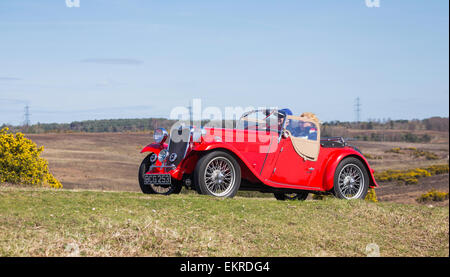 Oldtimer im Wettbewerb mit der Narzisse im New Forest Run an einem sonnigen Tag. Stockfoto