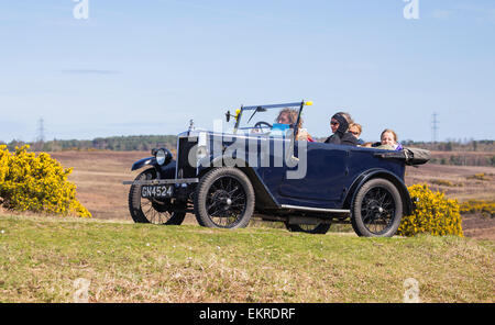 Oldtimer im Wettbewerb mit der Narzisse im New Forest Run an einem sonnigen Tag. Stockfoto