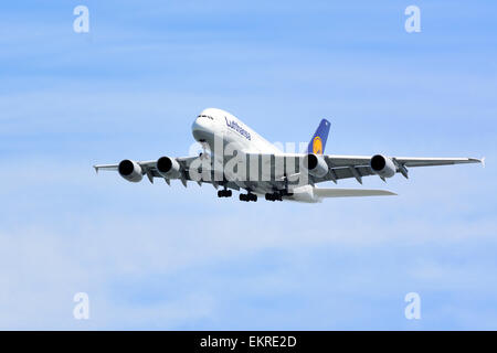 Lufthansa Airbus A-380 in Flug. Stockfoto