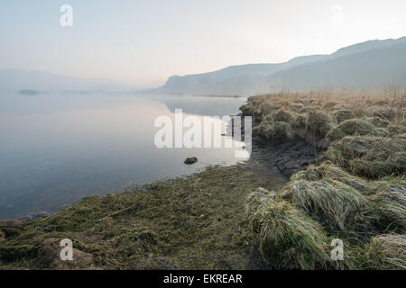 Am frühen Morgennebel verwischt den Horizont mit Torf, enthüllt am Rand Wassers - Derwentwater im englischen Lake District Stockfoto