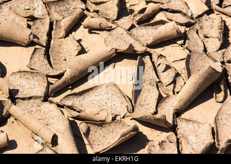 Schlamm Risse im trocknen Flut Trümmer nach der katastrophalen Malawi Überschwemmungen, Malawi, Afrika. Stockfoto