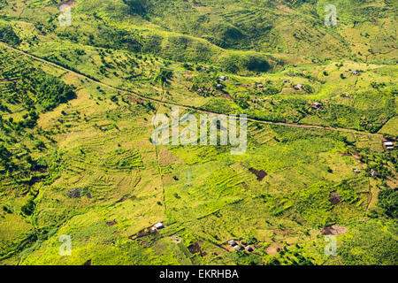 Blick hinunter auf entwaldet Wald hängen aus der Luft, wird ersetzt durch Ackerland für Subsistenz-Landwirtschaft in Malawi. Das Land leidet rapide Abholzung, sowohl für die Landwirtschaft und für die Herstellung von Holzkohle, die wichtigsten Kochen Fule in Malawi landen zu bieten. Stockfoto