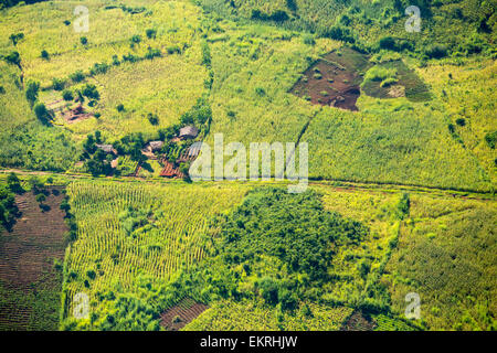 Blick hinunter auf entwaldet Wald hängen aus der Luft, wird ersetzt durch Ackerland für Subsistenz-Landwirtschaft in Malawi. Das Land leidet rapide Abholzung, sowohl für die Landwirtschaft und für die Herstellung von Holzkohle, die wichtigsten Kochen Fule in Malawi landen zu bieten. Stockfoto