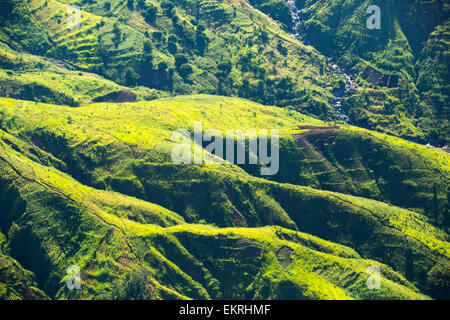 Blick hinunter auf entwaldet Wald hängen aus der Luft, wird ersetzt durch Ackerland für Subsistenz-Landwirtschaft in Malawi. Das Land leidet rapide Abholzung, sowohl für die Landwirtschaft und für die Herstellung von Holzkohle, die wichtigsten Kochen Fule in Malawi landen zu bieten. Stockfoto