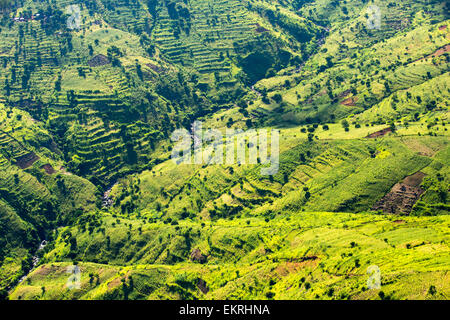 Blick hinunter auf entwaldet Wald hängen aus der Luft, wird ersetzt durch Ackerland für Subsistenz-Landwirtschaft in Malawi. Das Land leidet rapide Abholzung, sowohl für die Landwirtschaft und für die Herstellung von Holzkohle, die wichtigsten Kochen Fule in Malawi landen zu bieten. Stockfoto