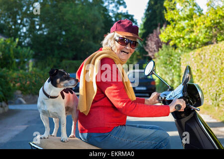 Ältere Dame in trendige moderne Kleidung, lachen gerne, wie sie ihrem Hund nimmt eine kleine jack Russell Terrier für einen Roller fahren Ba Stockfoto