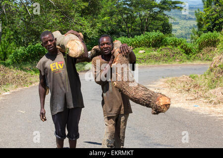 Malawi ist eines der ärmsten Länder der Welt, es wurde stark abgeholzt. Die Abholzung wurde um Land für eine wachsende Bevölkerung Zugang zum Lebensunterhalt anzubauen und zu landen haben klar Kohle, die die wichtigsten Kochbrennstoff in Malawi ist. Hier tragen Männer Holz illegal Zomba Plateau abgemeldet. Stockfoto