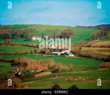 Farmscape in der Nähe von Mellifont Abbey, Co Meath, Irland Stockfoto