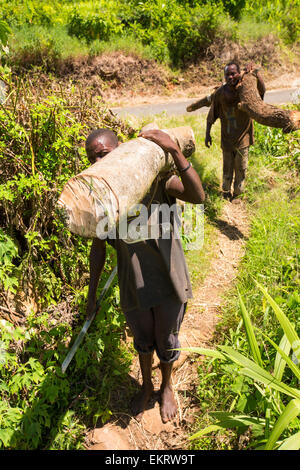 Malawi ist eines der ärmsten Länder der Welt, es wurde stark abgeholzt. Die Abholzung wurde um Land für eine wachsende Bevölkerung Zugang zum Lebensunterhalt anzubauen und zu landen haben klar Kohle, die die wichtigsten Kochbrennstoff in Malawi ist. Hier tragen Männer Holz illegal Zomba Plateau abgemeldet. Stockfoto