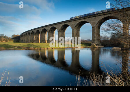 Strahlend blauer Himmel & Zug reist auf Arthington Viadukt (Eisenbahnbrücke) - die Bögen spiegelt sich im ruhigen Wasser des Flusses Wharfe, Yorkshire, England, UK. Stockfoto