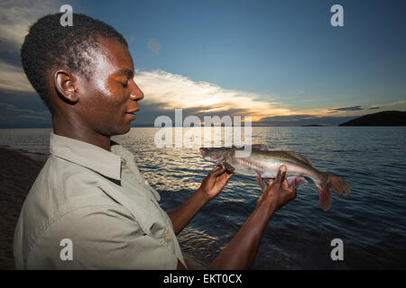 Ein Fischer am Cape Maclear am Ufer des Lake Malawi, Malawi, Afrika mit seinem Fang von Fischen. Stockfoto