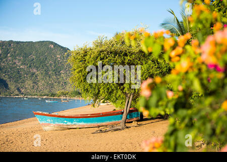 Tropische Vegetation am Cape Maclear am Lake Malawi, Malawi, Afrika. Stockfoto