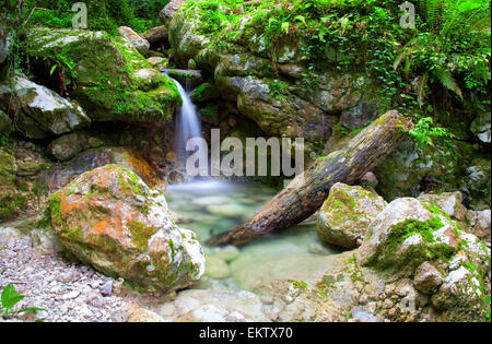 waterfall in deep forest Stockfoto