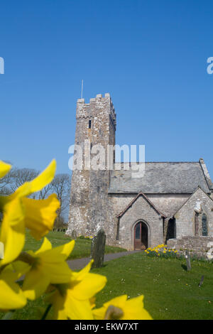 St. Michael und alle Engel Bosherston Pembrokeshire West Wales UK Kirche außen im Frühling mit Narzissen im Vordergrund Stockfoto