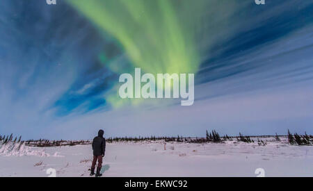 9. Februar 2014 - Aurora Borealis von Churchill, Manitoba, Kanada, in einem Blick Nordosten unter hellen Mondschein gesehen. Stockfoto