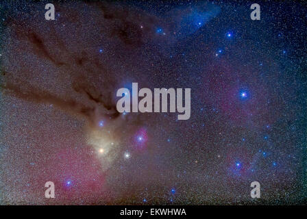 Die Gegend um den Kopf von Scorpius, einschließlich der helle Sternen Antares am unteren Links des Zentrums und die dunklen Gassen, th Stockfoto