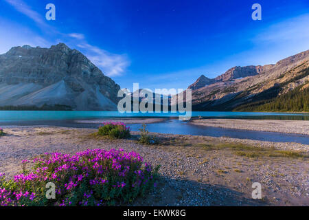 9. August 2014 - Twilight und Mondschein am Bow Lake, Banff Nationalpark, Alberta, Kanada. Licht aus der fast Vollmondlicht Stockfoto