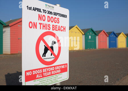 Keine Hunde erlaubt am Strand Zeichen gegen hell farbigen Strandhütten in Dawlish Warren Devon England UK Stockfoto