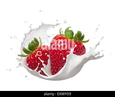 Erdbeeren mit Milch Spritzen isoliert auf weiss Stockfoto