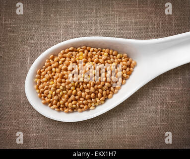 Hirse-Samen in einem Holzlöffel Stockfoto