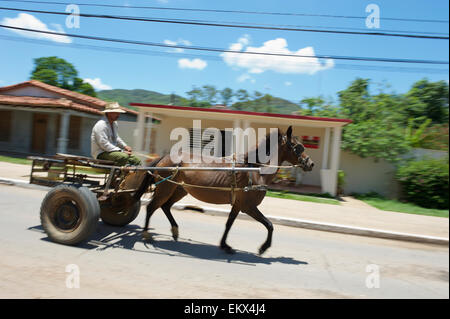 VINALES, Kuba - 20. Mai 2011: Traditionelle Pferd und Buggy fährt entlang einer ruhigen Straße durch den traditionellen Stadtkern. Stockfoto