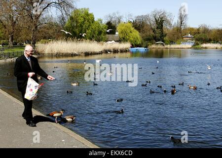 Regents Park, London, UK. 14. April 2015. UK-Wetter: ein Mann füttert die Vögel im Regents Park, London in der Frühlingssonne. Bildnachweis: Ed Brown/Alamy Live-Nachrichten Stockfoto