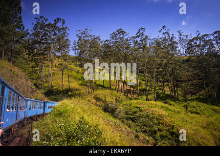 Zug von Nuwara Eliya, Kandy unter Teeplantagen im Hochland von Sri Lanka Stockfoto