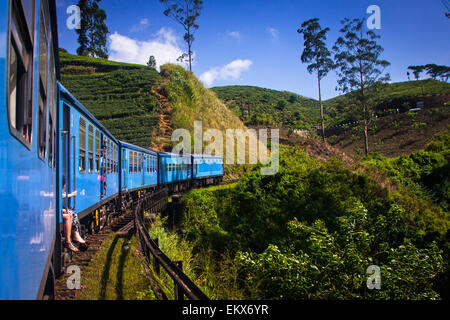 Zug von Nuwara Eliya, Kandy unter Teeplantagen im Hochland von Sri Lanka Stockfoto