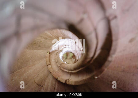 auf den Kopf angesichts der Wendeltreppe Stockfoto